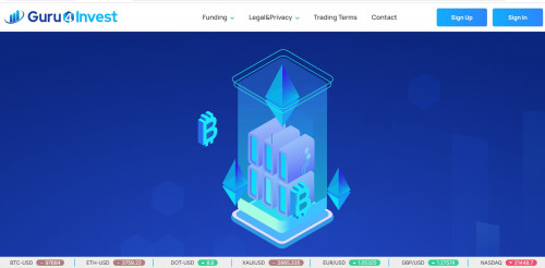 guru4investment53b64b0a0c81d889.jpg